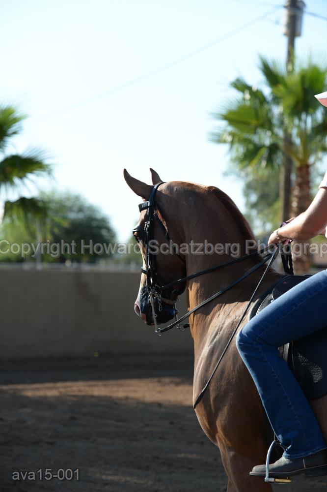 2015 Beethe - Farm proofs - 2015 - www.howardschatzbergphoto.com