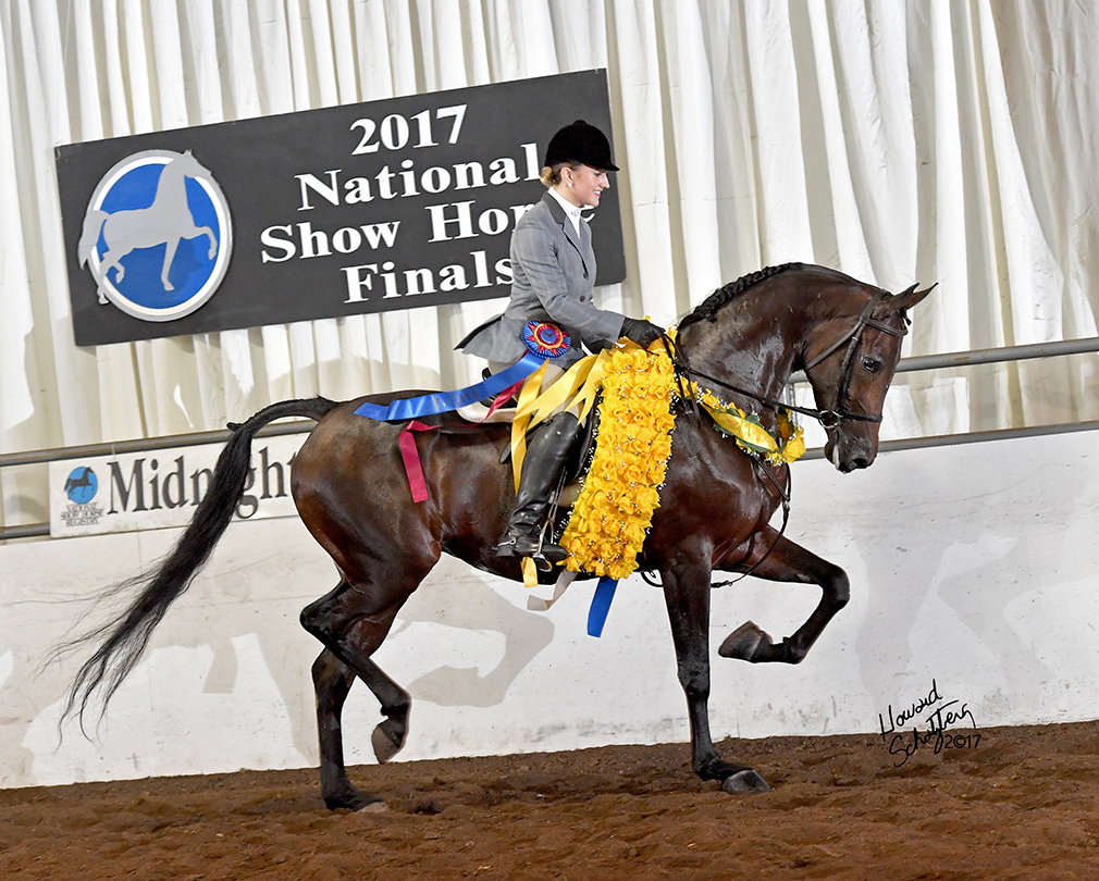 2017 National Show Horse Finals - Howard Schatzberg Horse ...