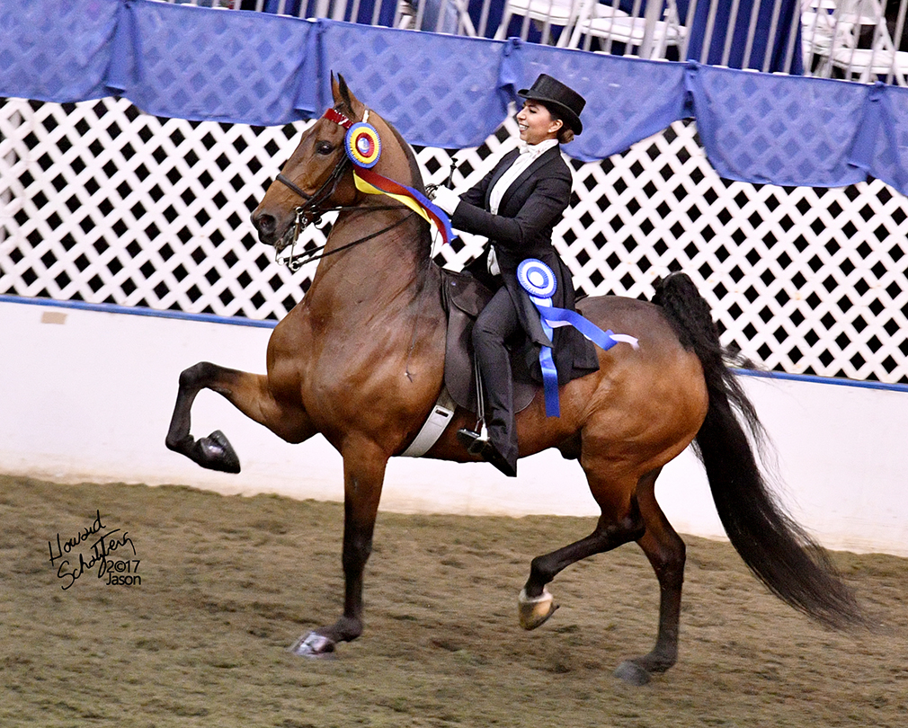 2017 American Royal Howard Schatzberg Horse Show Proofs 2017 www