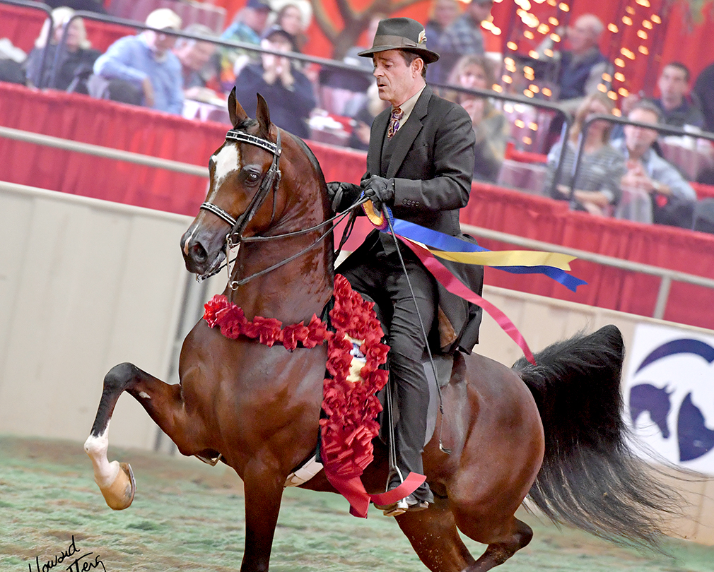 Лошадь время. Лошади времена года. Лошадь бежит по небу. Лошадей сопровождает. Лошадь время.
