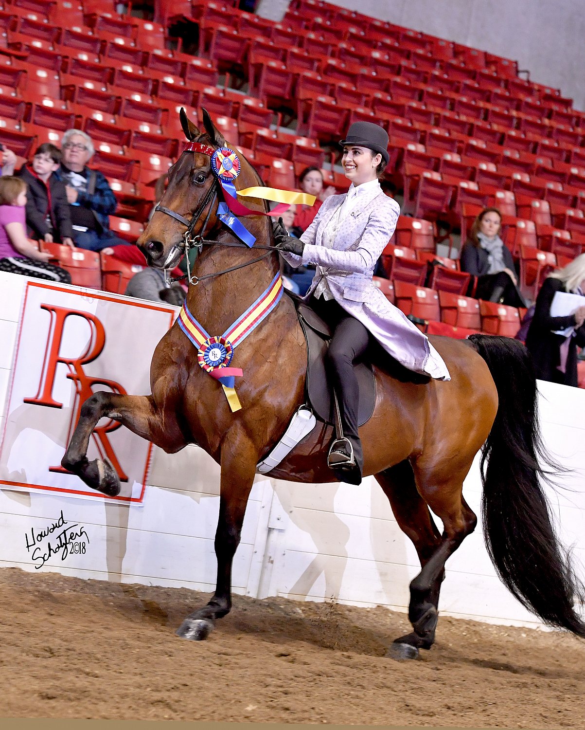 River Ridge Howard Schatzberg Horse Show Proofs 2018 www