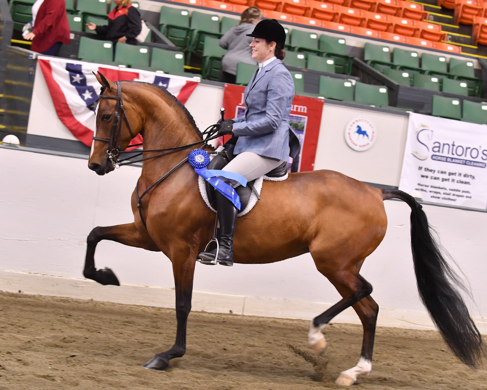 Connecticut Horse Show Howard Schatzberg Horse Show Proofs