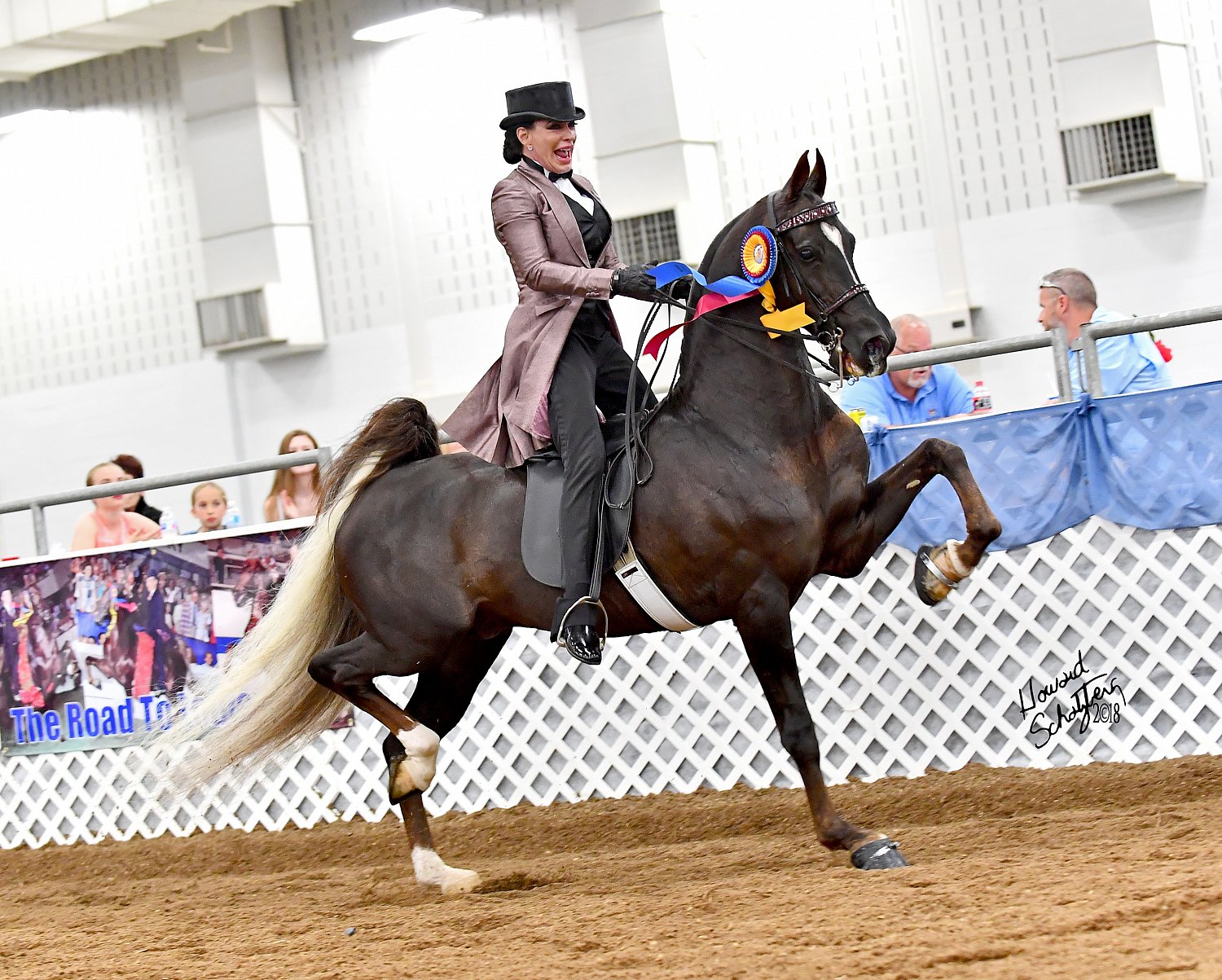 Indianapolis Charity Horse Show Howard Schatzberg Horse Show Proofs