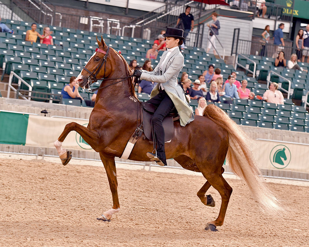 Lexington Junior League Horse Show Howard Schatzberg Horse Show