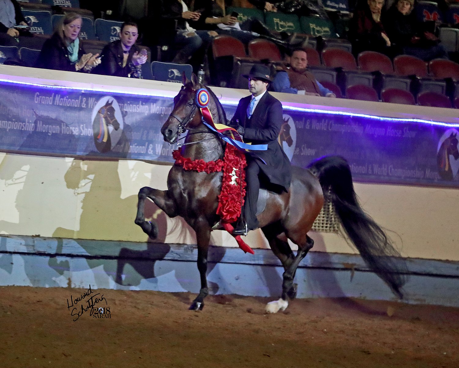 Grand National Howard Schatzberg Horse Show Proofs 2018