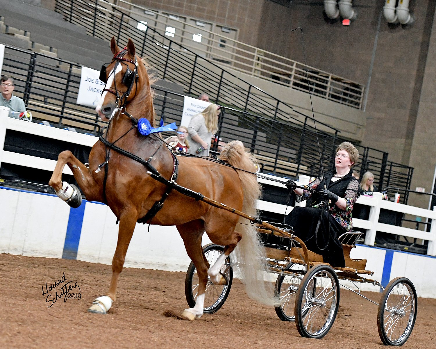 UPHA Chapter 5 Howard Schatzberg Horse Show Proofs 2019 www