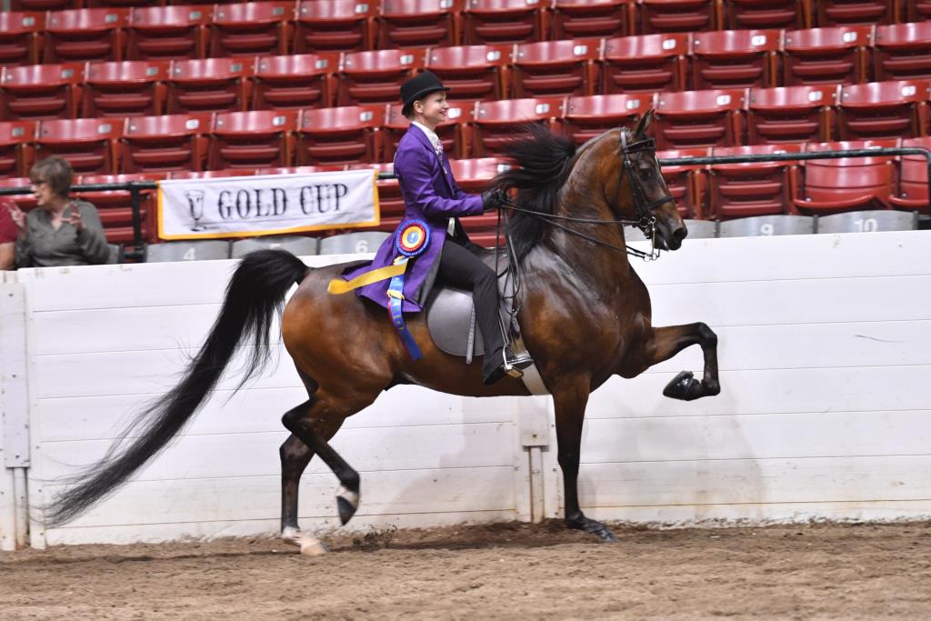 Gold Cup Howard Schatzberg Horse Show Proofs 2019 www