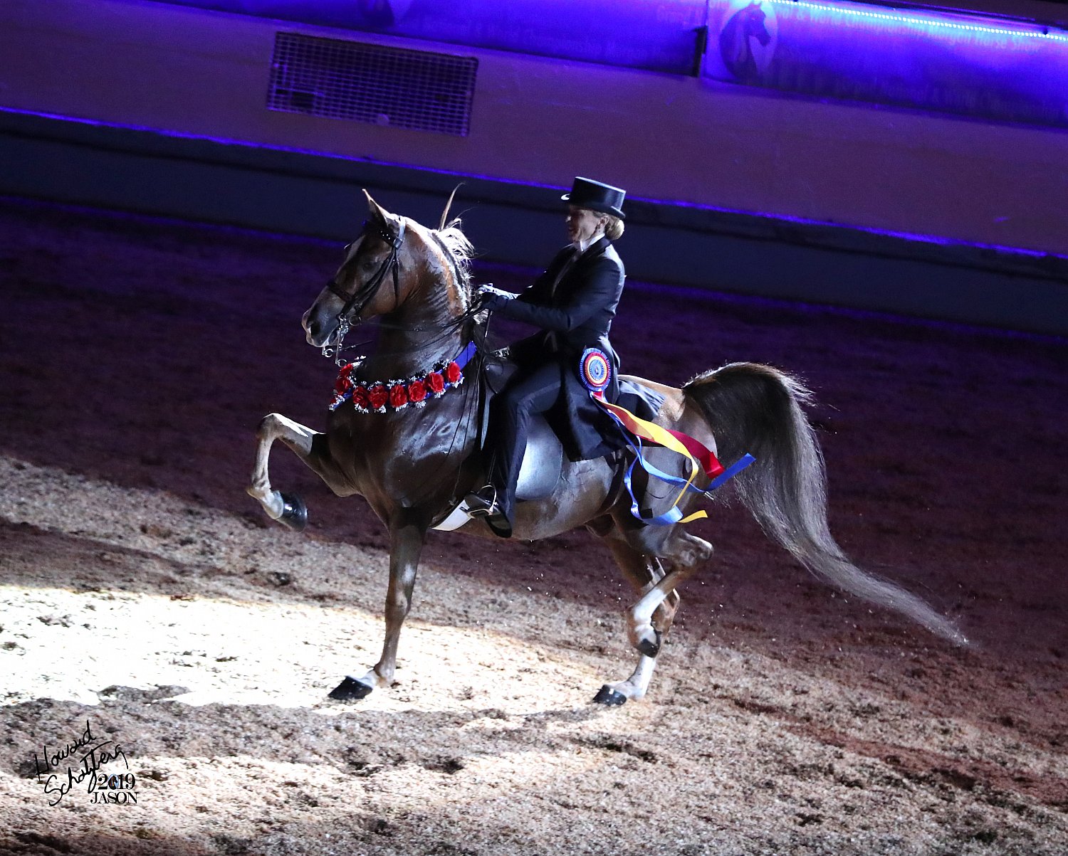 Grand National Howard Schatzberg Horse Show Proofs 2019