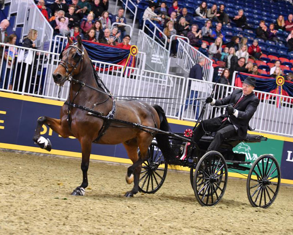 Royal Winter Fair Howard Schatzberg Horse Show Proofs 2019 www
