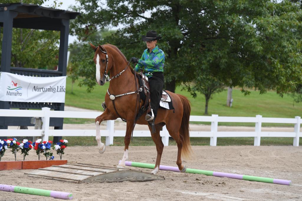 St Louis National Horse Show Howard Schatzberg Horse Show Proofs