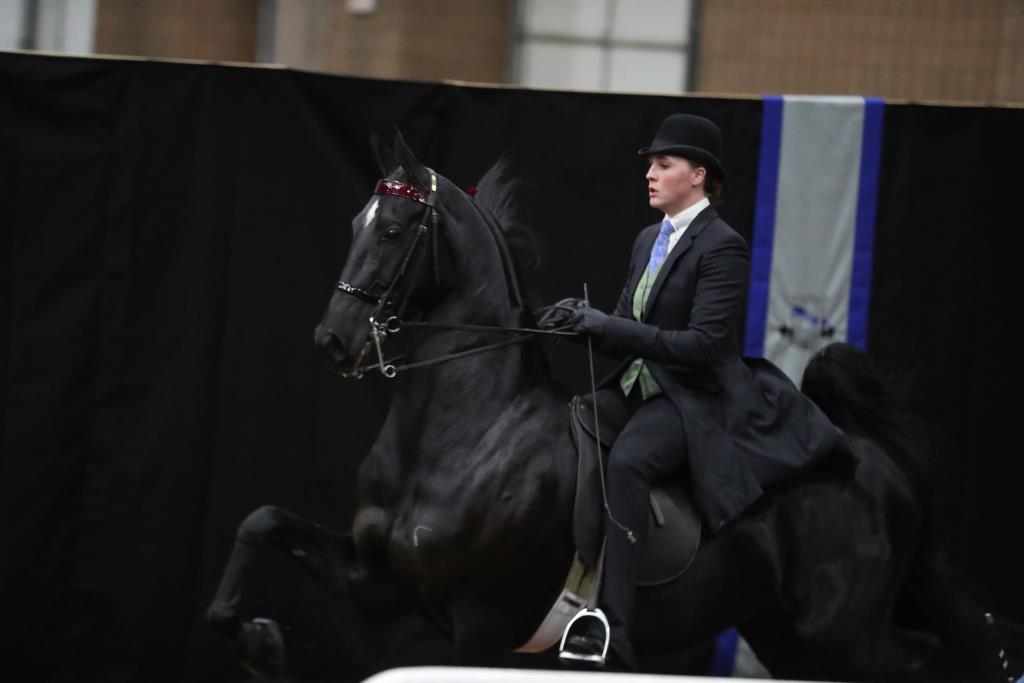UPHA Chapter 5 Howard Schatzberg Horse Show Proofs 2021 www