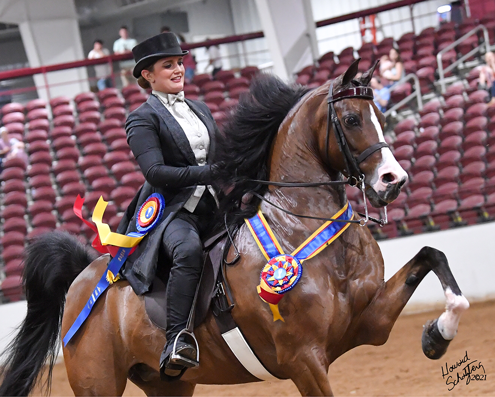 Gold Cup Horse Show Howard Schatzberg Horse Show Proofs 2021