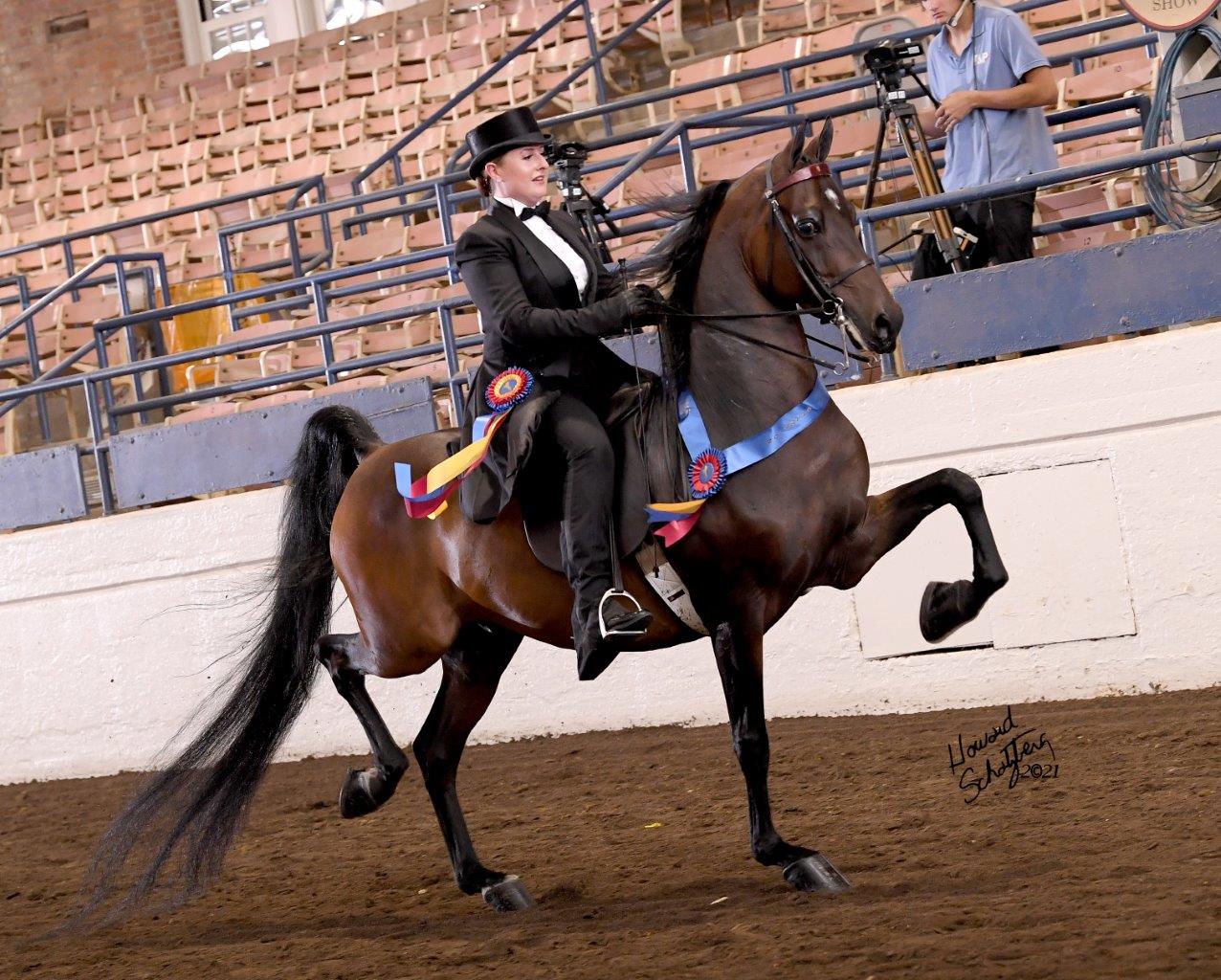 Jubilee Horse Show Howard Schatzberg Horse Show Proofs 2021