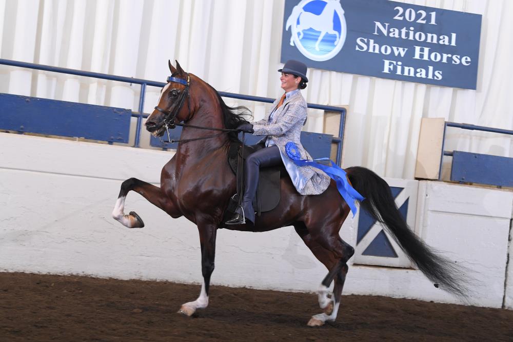 National Show Horse Finals SEPT 16, THURSDAY EVENING 045 NSH