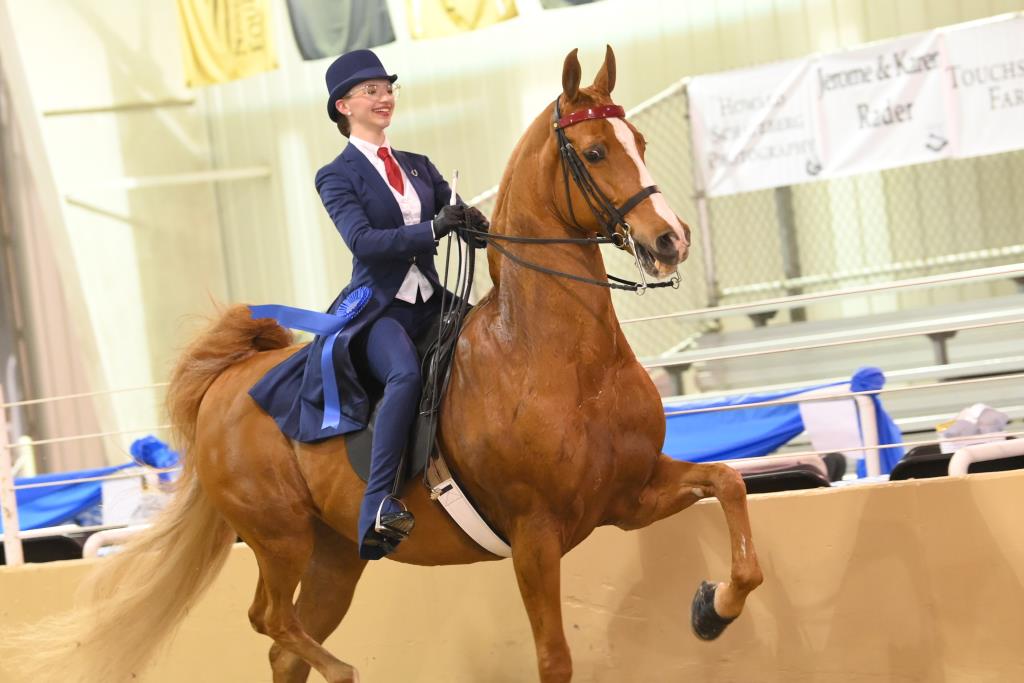 UPHA Chapter 5 Howard Schatzberg Horse Show Proofs 2022 www