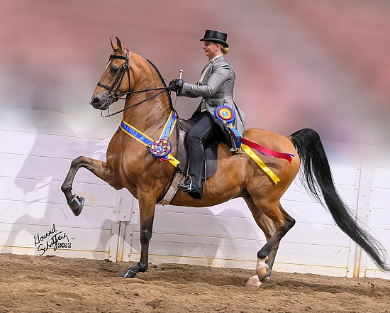 Morgan Gold Cup: June 14-17