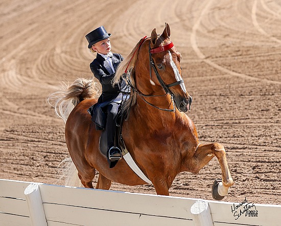 Shelby County Fair June 20-24