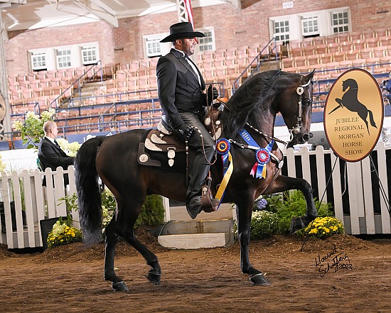Jubilee Morgan Horse Show August 30-September 2