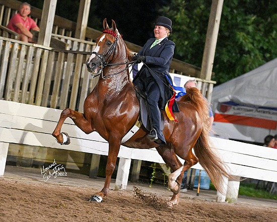 Shelbyville August 2-5