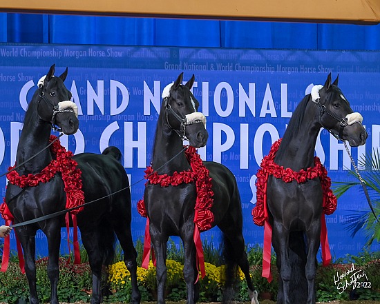 Morgan Grand Nationals October 7-14