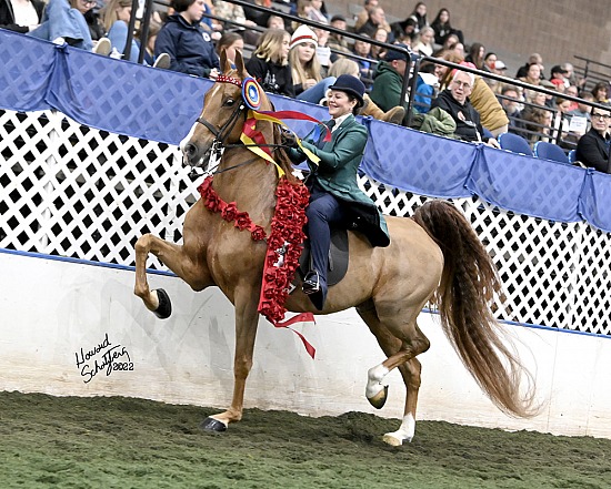 UPHA American Royal: November 6-11