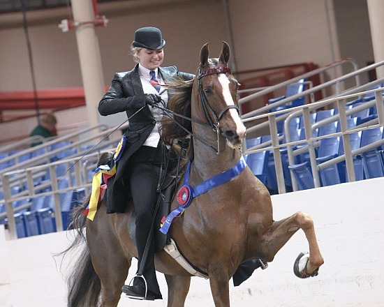 Carousel Charity Horse Show