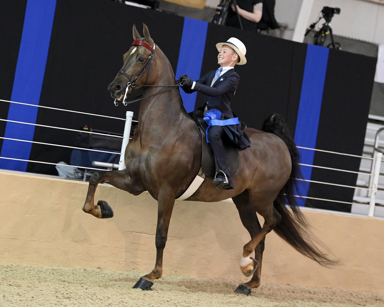 UPHA Chapter 5 Howard Schatzberg Horse Show Proofs 2023 www