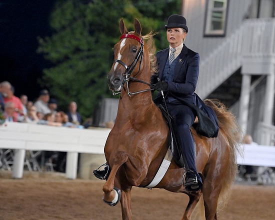 Shelbyville Horse Show