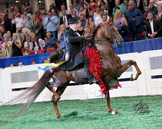 Kentucky State Fair