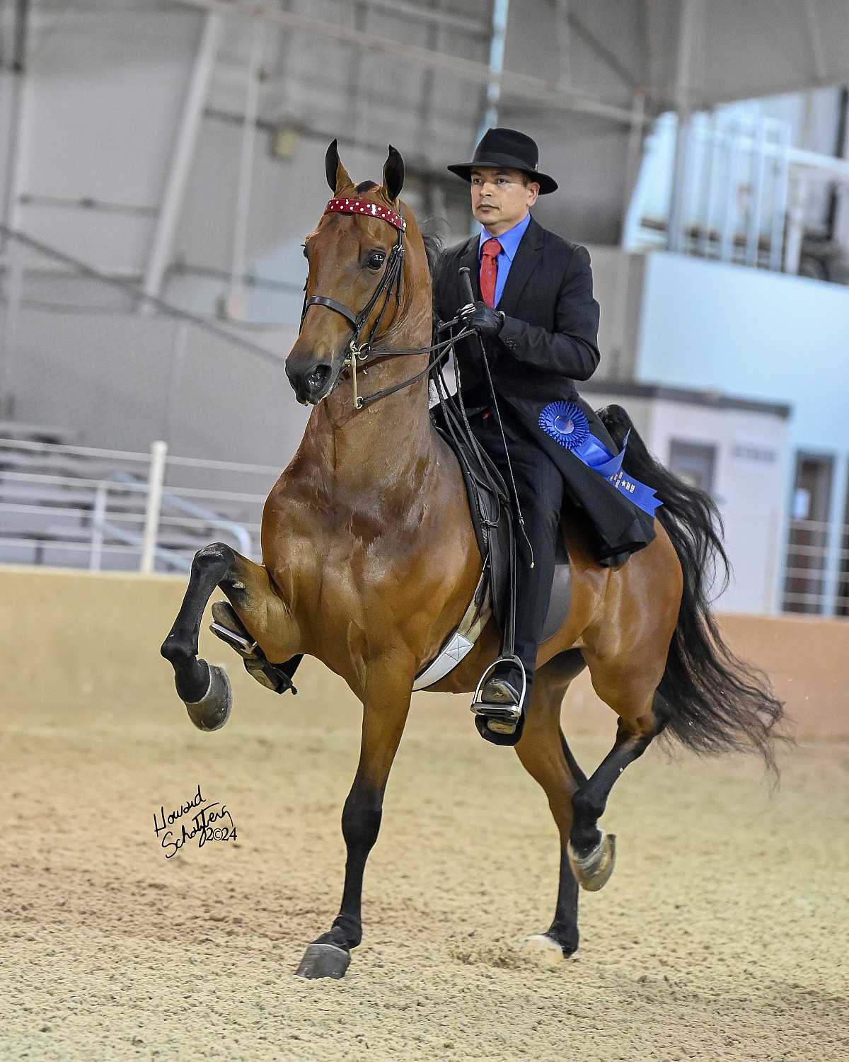 UPHA Chapter 5 Howard Schatzberg Horse Show Proofs 2024 www