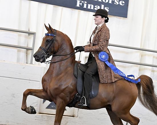 National Show Horse Finals