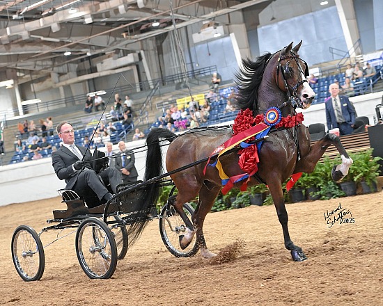 Morgan Grand Nationals