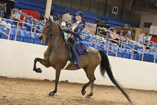 Carousel Charity Horse Show